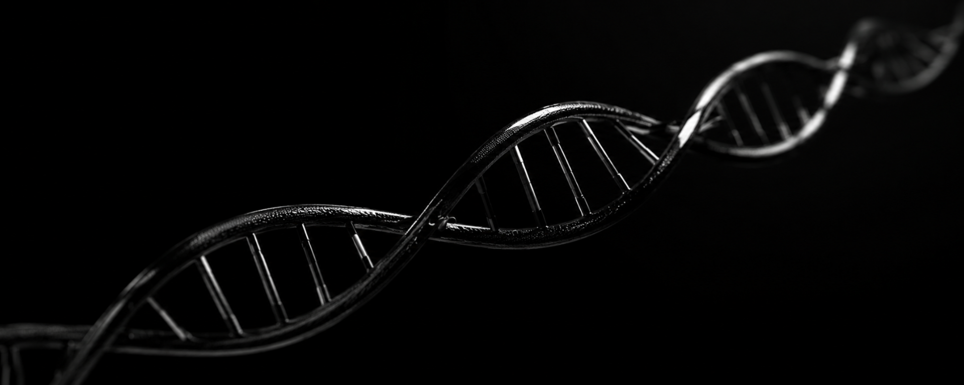 DNA double helix
